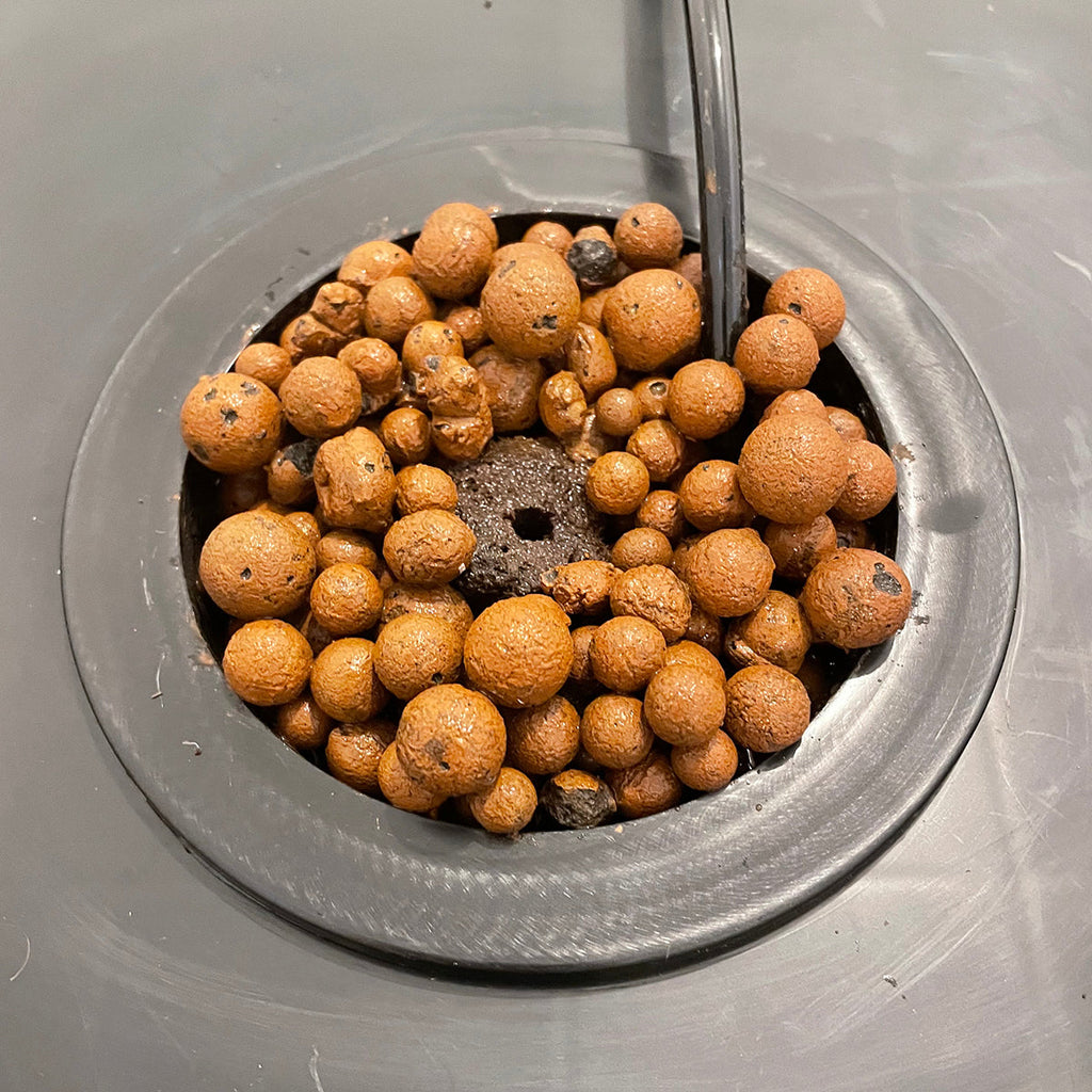 DWC clay pebbles for hydroponic growing