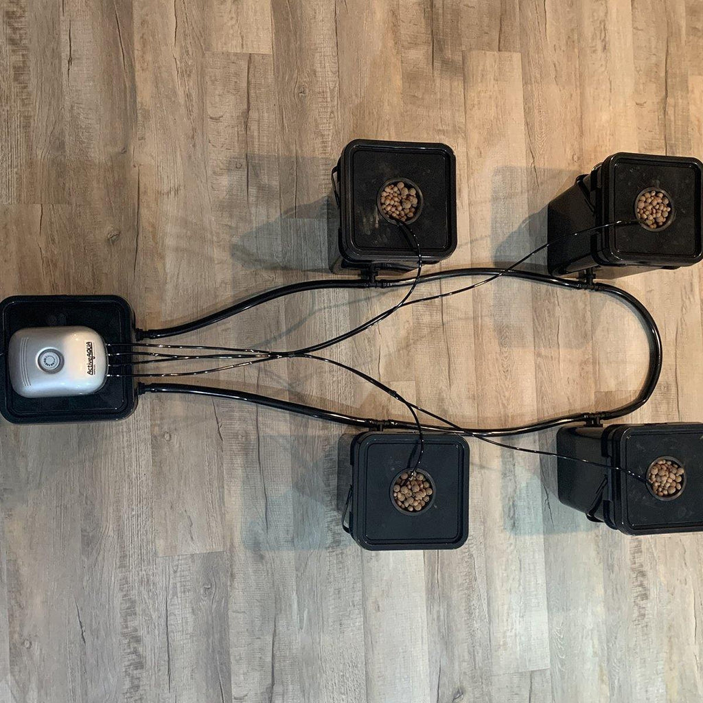 DWC Hydroponic System