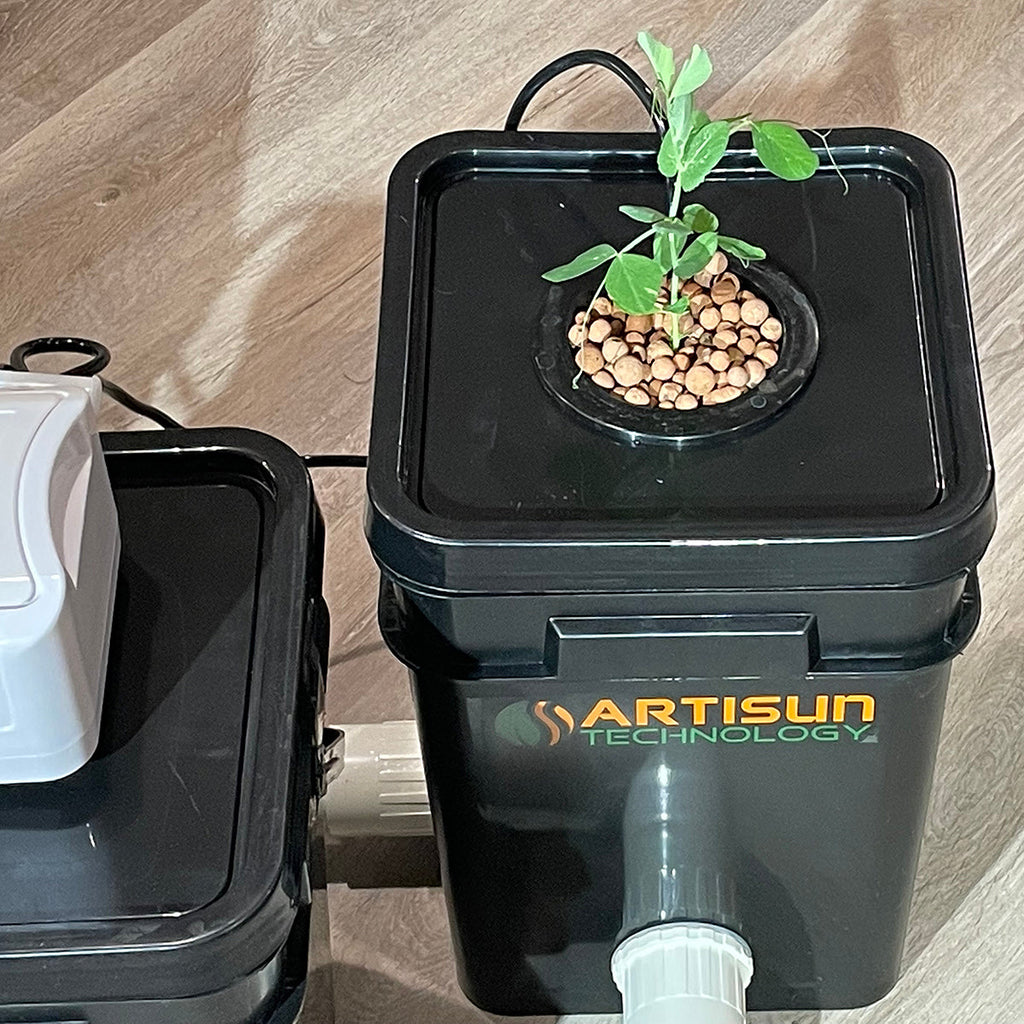 recirculating deep water culture hydroponic system.  