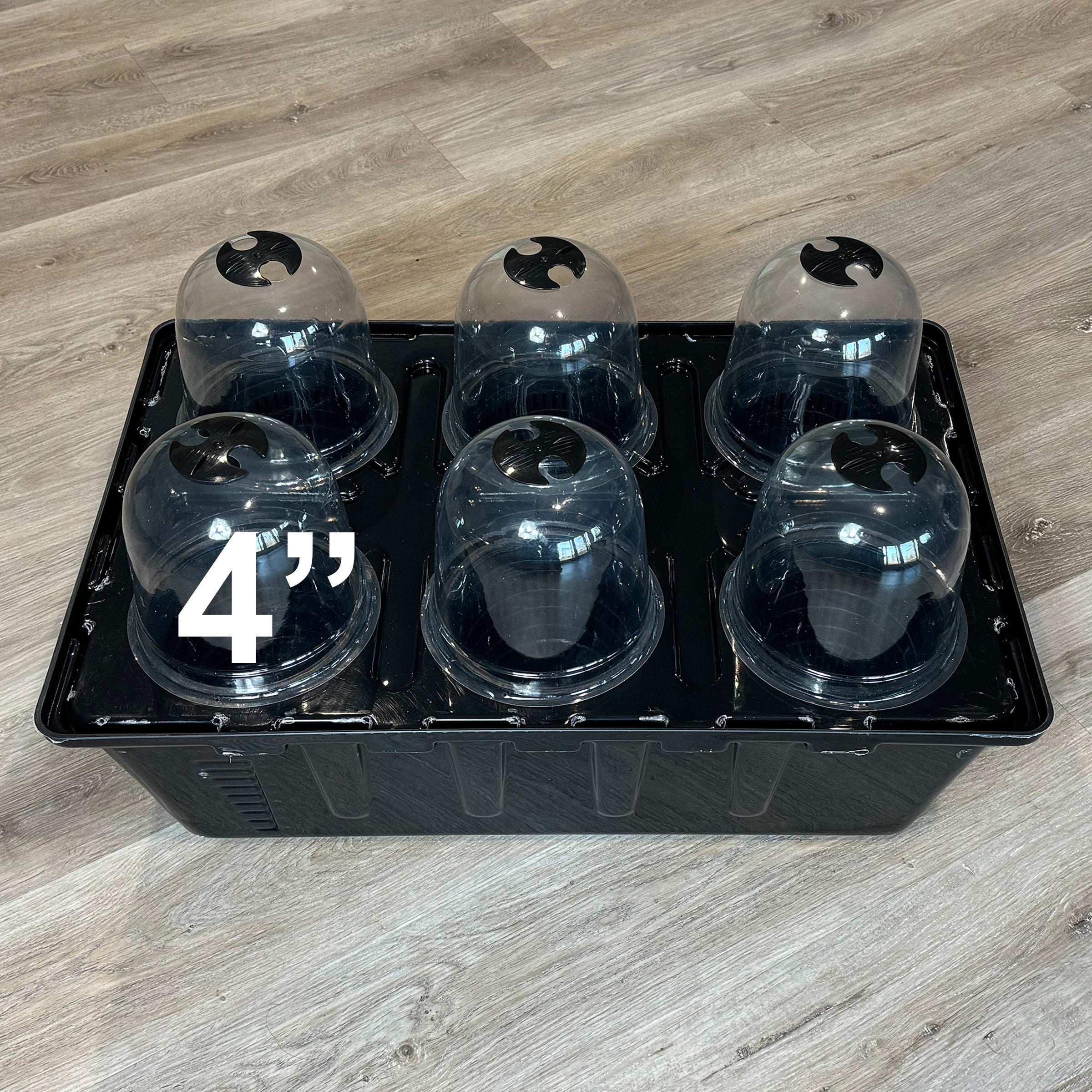 4 plant hydroponic kit Buy DWC Hydroponics Starter System
