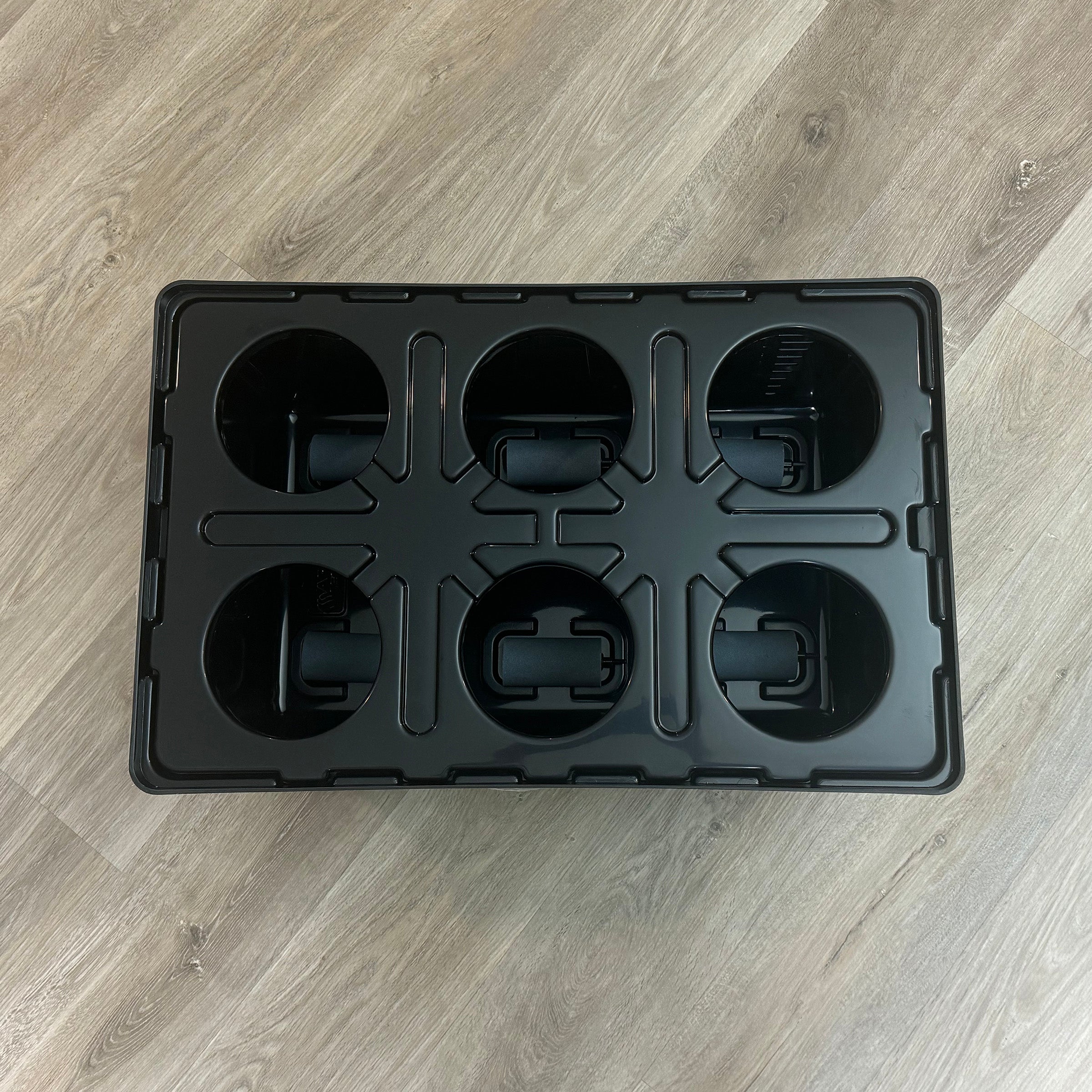 6 plant hydroponic system Buy DWC Hydroponics Starter System