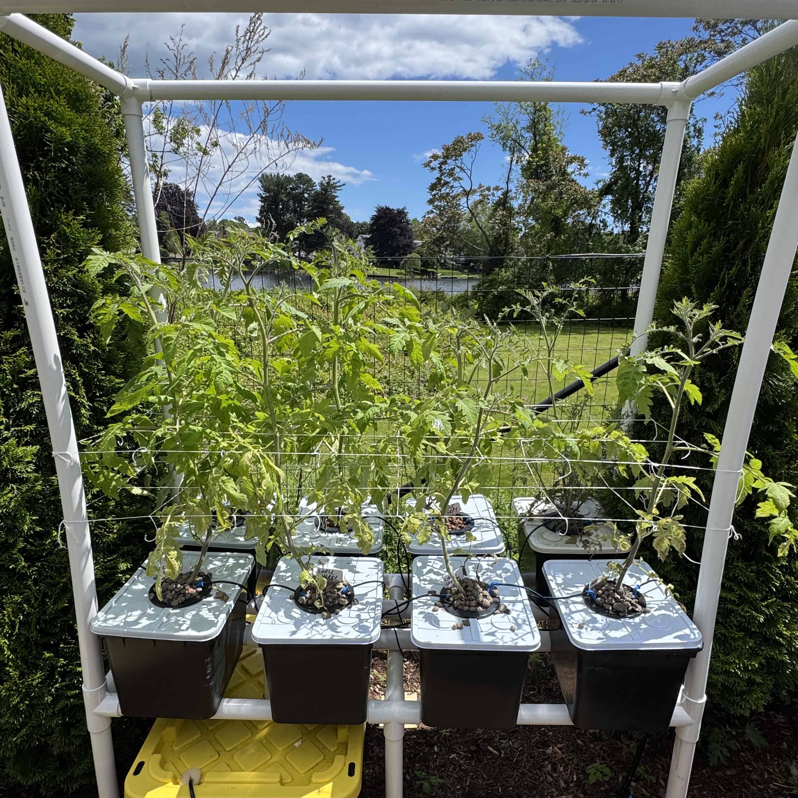 Get Dutch Bucket Hydro Kit 10-Pack | Lids & Net Pots Setup