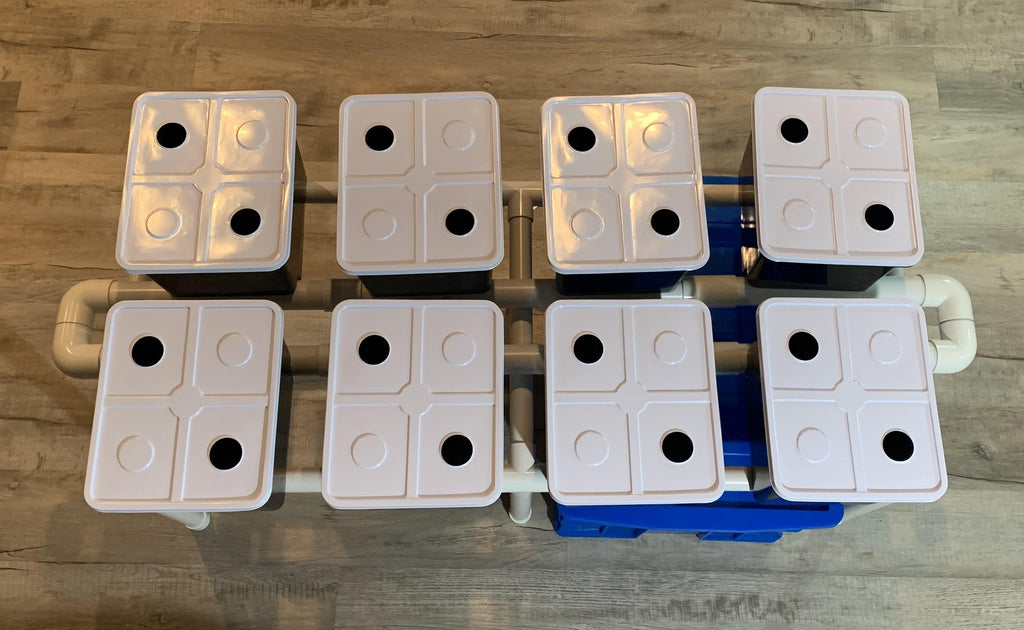 Hydroponic System, 8 Dutch Bucket