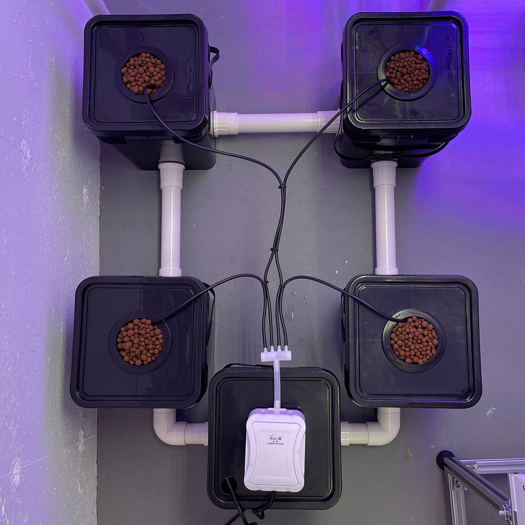 Hydroponic recirculating deep water culture DWC kit. Soilless growing, pesticide and herbicide free. 