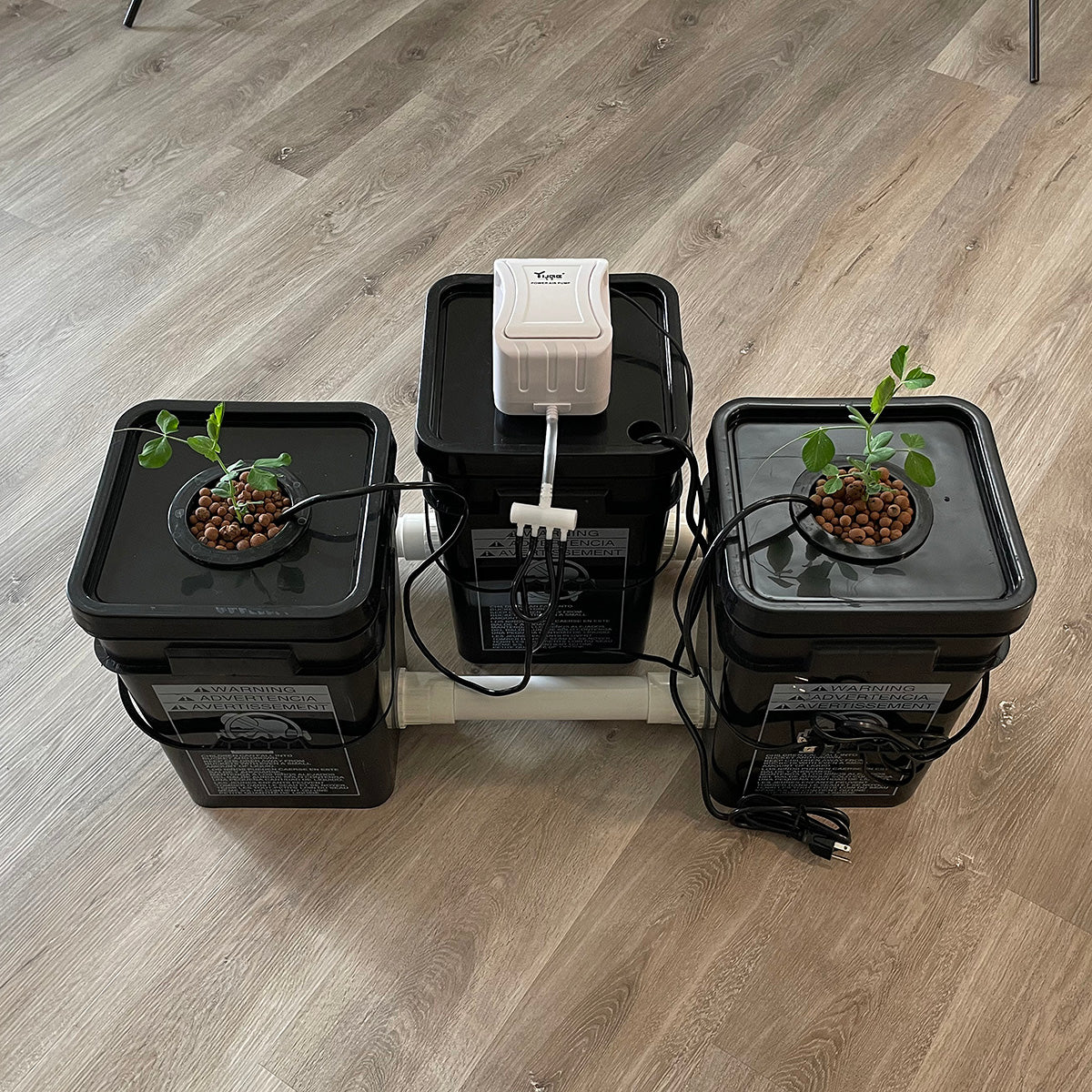 2 plant hydroponic system RDWC Hydroponic System 5 Gallon 2-Site