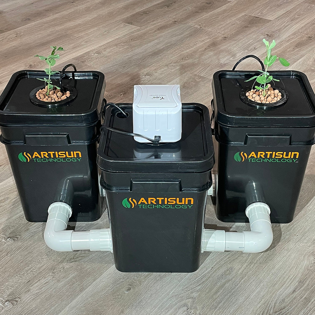 recirculating deep water culture setup for beginners